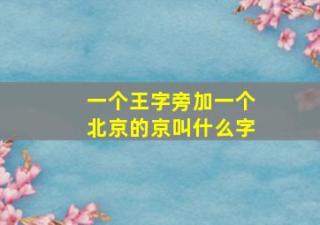 一个王字旁加一个北京的京叫什么字