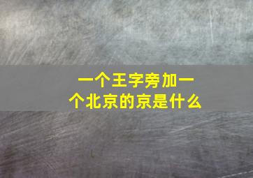 一个王字旁加一个北京的京是什么