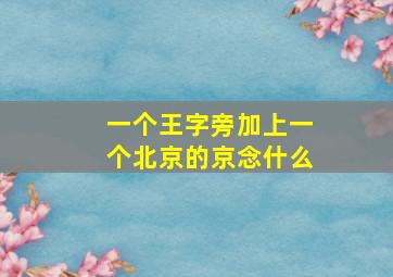 一个王字旁加上一个北京的京念什么