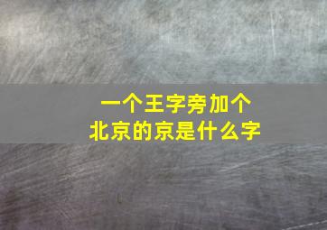 一个王字旁加个北京的京是什么字