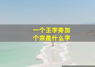 一个王字旁加个宗是什么字