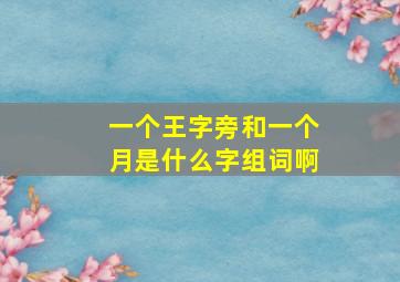 一个王字旁和一个月是什么字组词啊