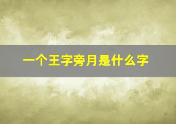 一个王字旁月是什么字