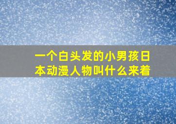 一个白头发的小男孩日本动漫人物叫什么来着