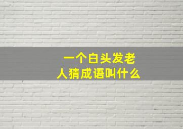 一个白头发老人猜成语叫什么