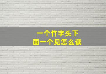 一个竹字头下面一个见怎么读