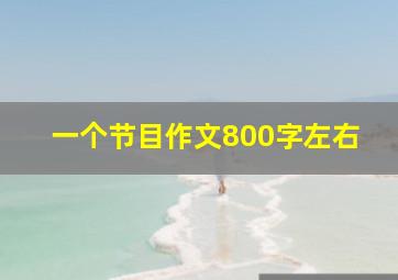 一个节目作文800字左右