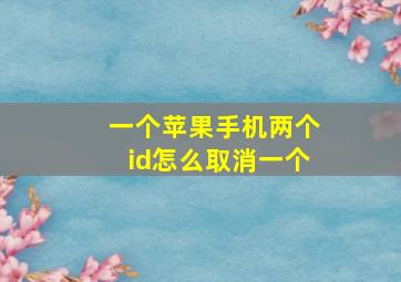 一个苹果手机两个id怎么取消一个