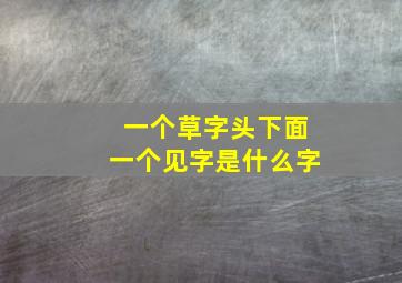 一个草字头下面一个见字是什么字