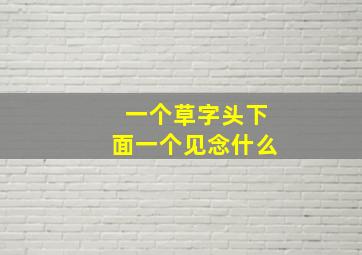 一个草字头下面一个见念什么