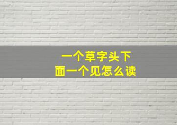 一个草字头下面一个见怎么读