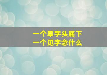 一个草字头底下一个见字念什么