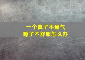 一个鼻子不通气嗓子不舒服怎么办