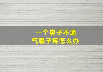 一个鼻子不通气嗓子疼怎么办