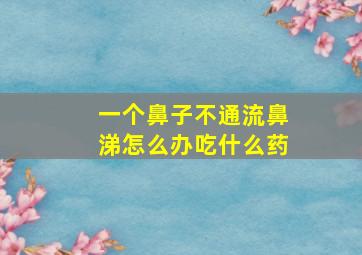 一个鼻子不通流鼻涕怎么办吃什么药