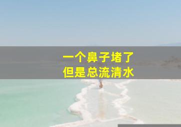 一个鼻子堵了但是总流清水