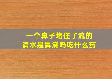 一个鼻子堵住了流的清水是鼻涕吗吃什么药