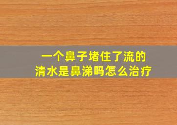 一个鼻子堵住了流的清水是鼻涕吗怎么治疗