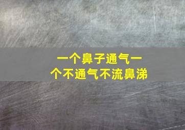 一个鼻子通气一个不通气不流鼻涕