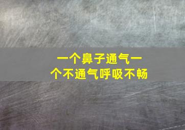 一个鼻子通气一个不通气呼吸不畅