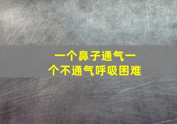 一个鼻子通气一个不通气呼吸困难