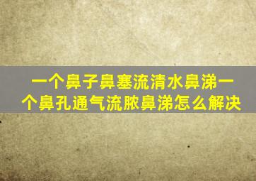 一个鼻子鼻塞流清水鼻涕一个鼻孔通气流脓鼻涕怎么解决