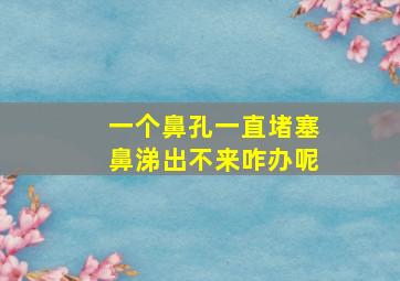 一个鼻孔一直堵塞鼻涕出不来咋办呢