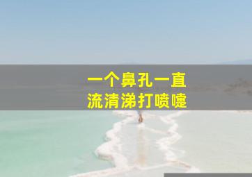 一个鼻孔一直流清涕打喷嚏