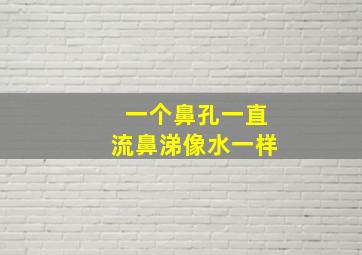 一个鼻孔一直流鼻涕像水一样