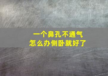 一个鼻孔不通气怎么办侧卧就好了