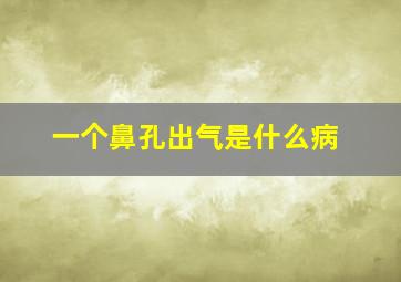 一个鼻孔出气是什么病