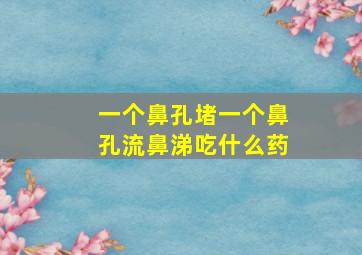 一个鼻孔堵一个鼻孔流鼻涕吃什么药