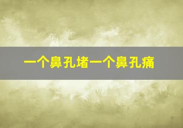 一个鼻孔堵一个鼻孔痛