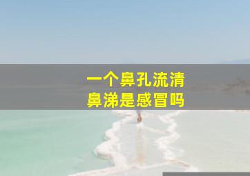 一个鼻孔流清鼻涕是感冒吗