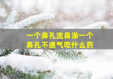 一个鼻孔流鼻涕一个鼻孔不通气吃什么药