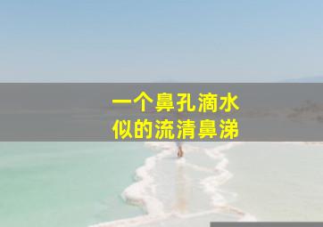 一个鼻孔滴水似的流清鼻涕