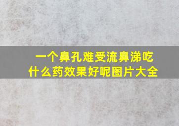 一个鼻孔难受流鼻涕吃什么药效果好呢图片大全