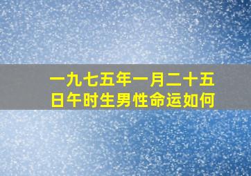 一九七五年一月二十五日午时生男性命运如何