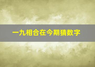 一九相合在今期猜数字