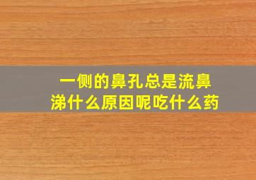 一侧的鼻孔总是流鼻涕什么原因呢吃什么药