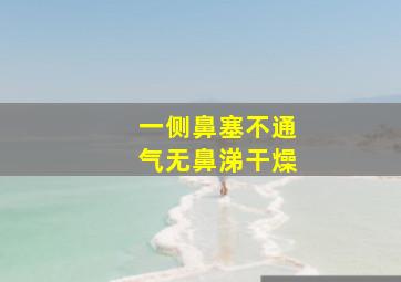 一侧鼻塞不通气无鼻涕干燥