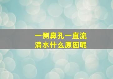 一侧鼻孔一直流清水什么原因呢