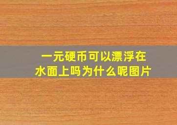 一元硬币可以漂浮在水面上吗为什么呢图片