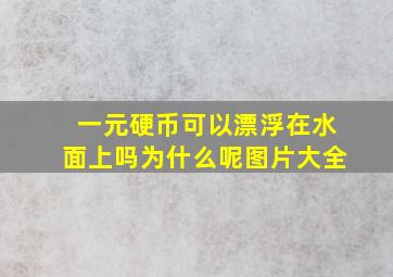 一元硬币可以漂浮在水面上吗为什么呢图片大全