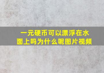 一元硬币可以漂浮在水面上吗为什么呢图片视频