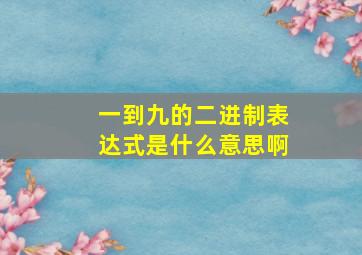 一到九的二进制表达式是什么意思啊