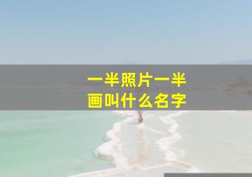 一半照片一半画叫什么名字