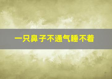 一只鼻子不通气睡不着