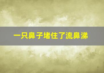 一只鼻子堵住了流鼻涕