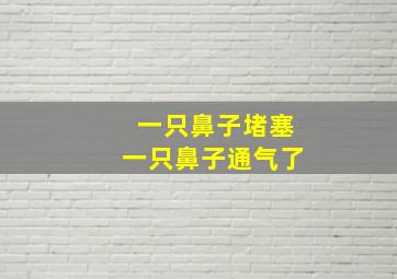 一只鼻子堵塞一只鼻子通气了